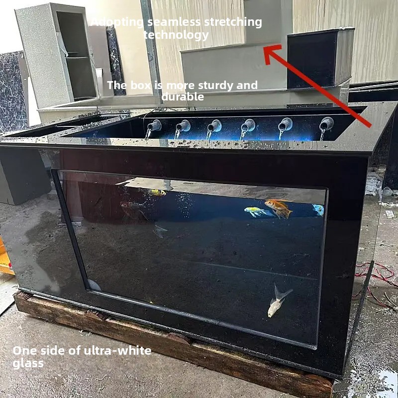 Xl Aquarium Fish - حوض سمك أسود كبير الحجم مع