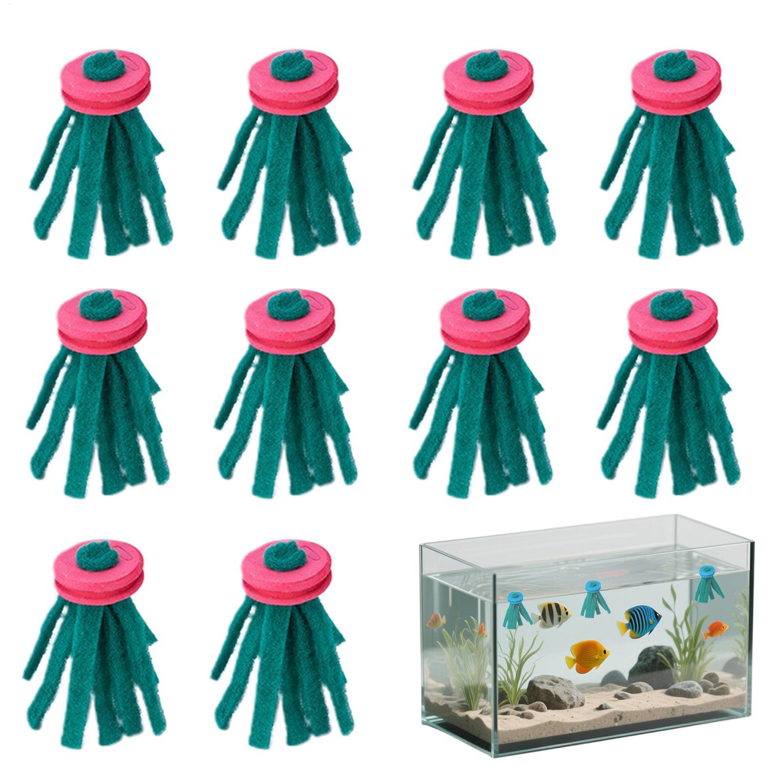 Aquarium Fish Food - 10 قطع من ممسحة تفريخ الأسماك