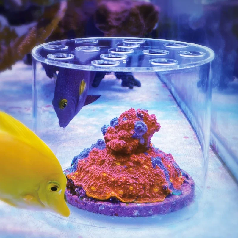 Aquarium Fish Food - Vastocean حوض السمك الاكريليك المرجان المغذية