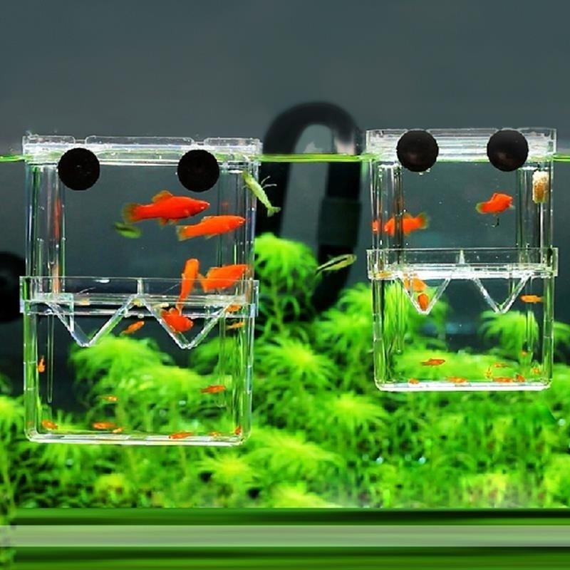 Aquarium Fish Cave - صندوق عزل حوض السمك متعدد الوظائف