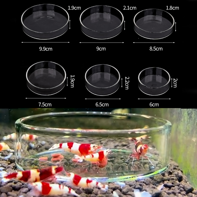Aquarium Fish Food - طبق تغذية الروبيان طبق تغذية زجاجي