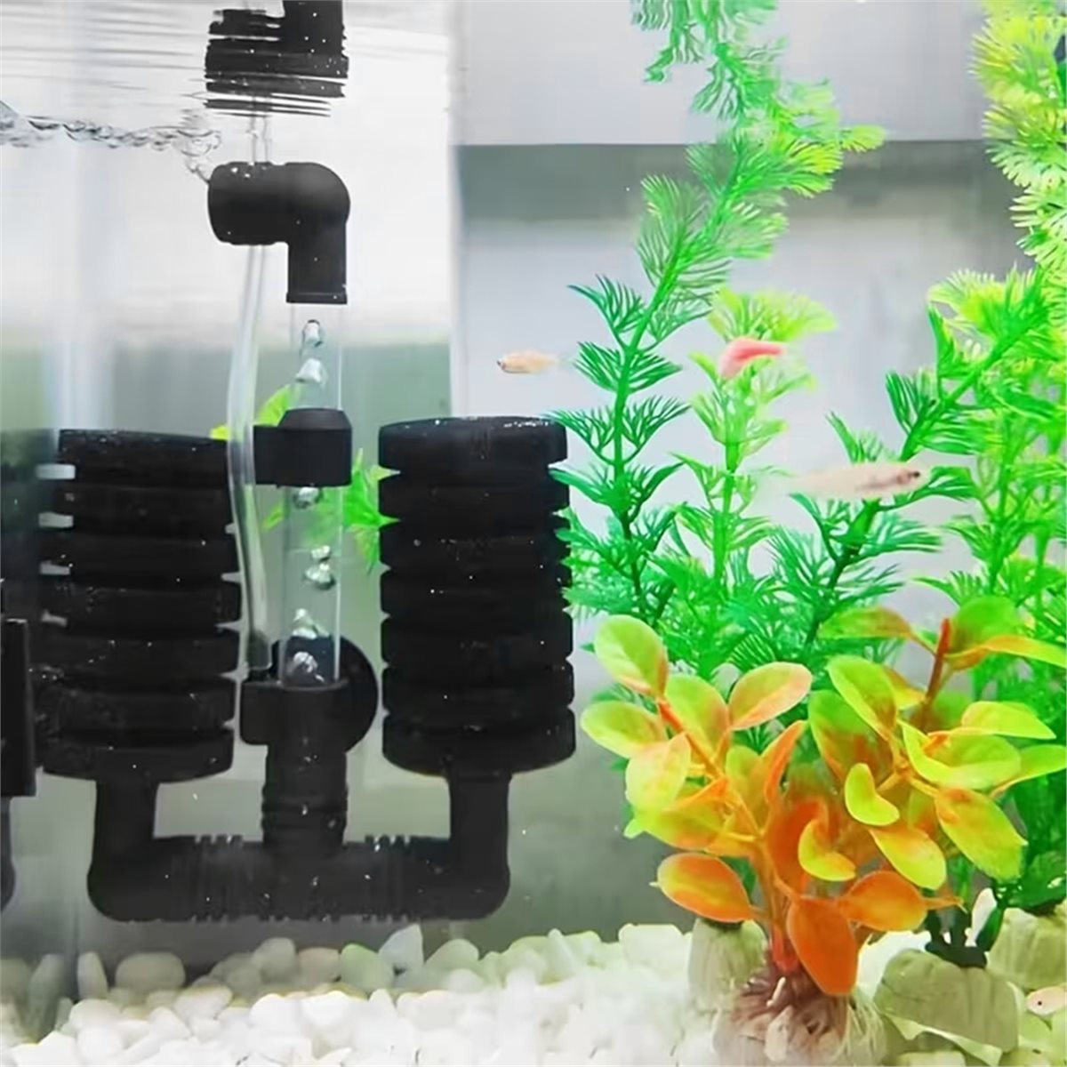 Aquarium Fish List - 【قائمة المنتجات الأساسية】 فلتر حوض السمك