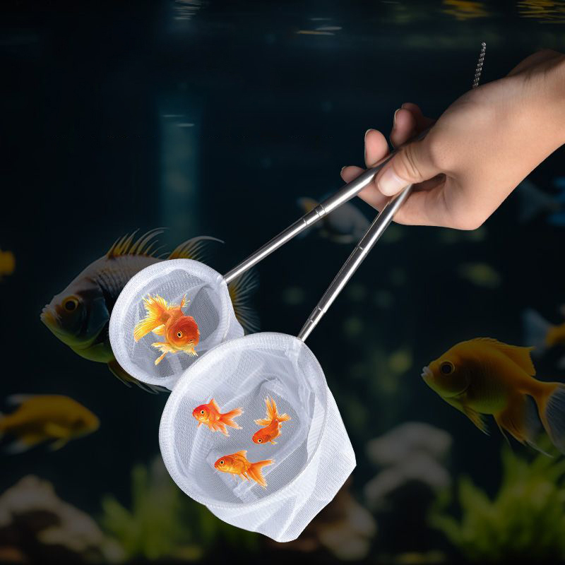 (BF06) شبكة صيد أسماك الأكواري - مراجعة Aquarium Fish Trap وسعره