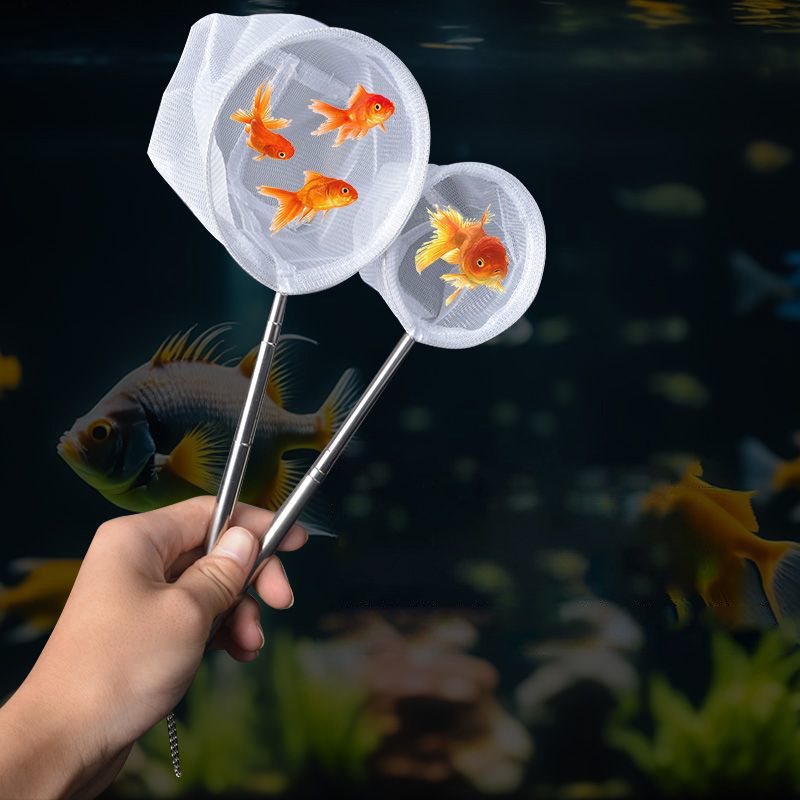 (BF06) شبكة صيد أسماك الأكواري - مراجعة Aquarium Fish Trap وسعره