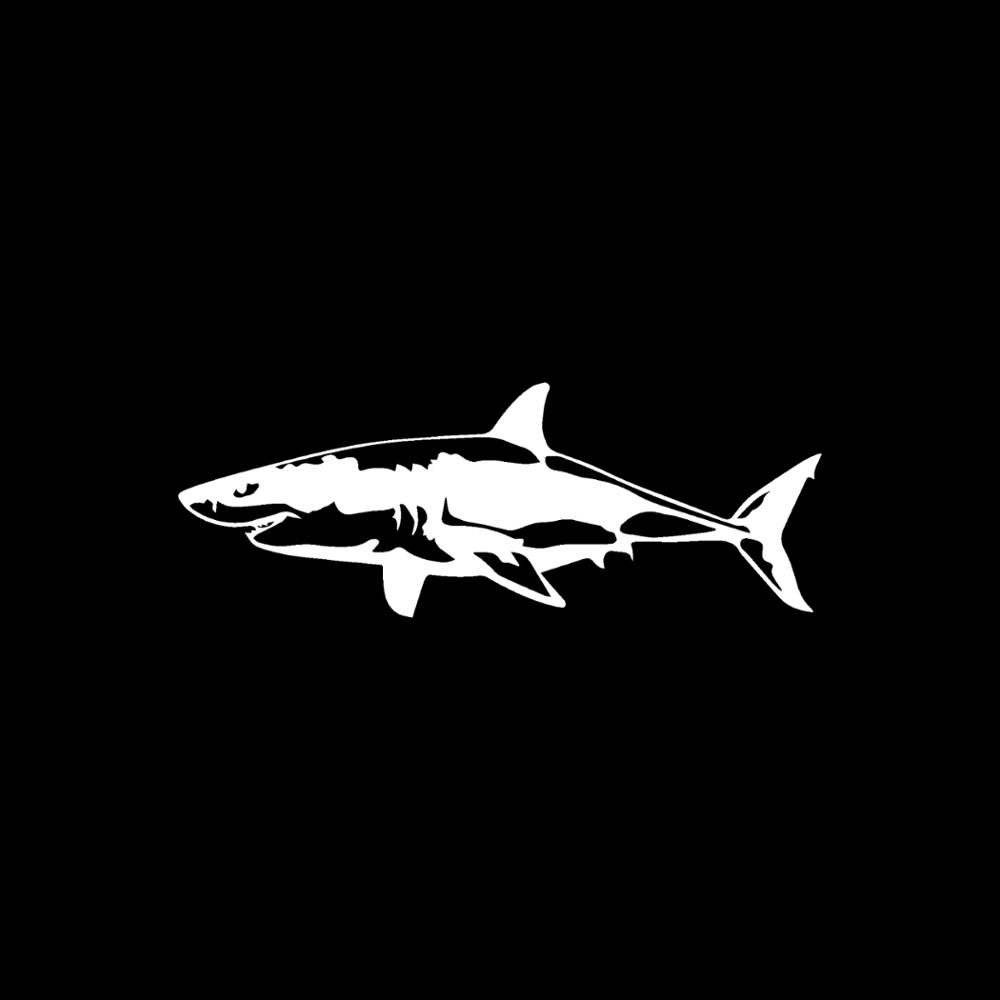 ملصق Jpct مثير للاهتمام على شك - مراجعة Aquarium Fish Shark وسعره
