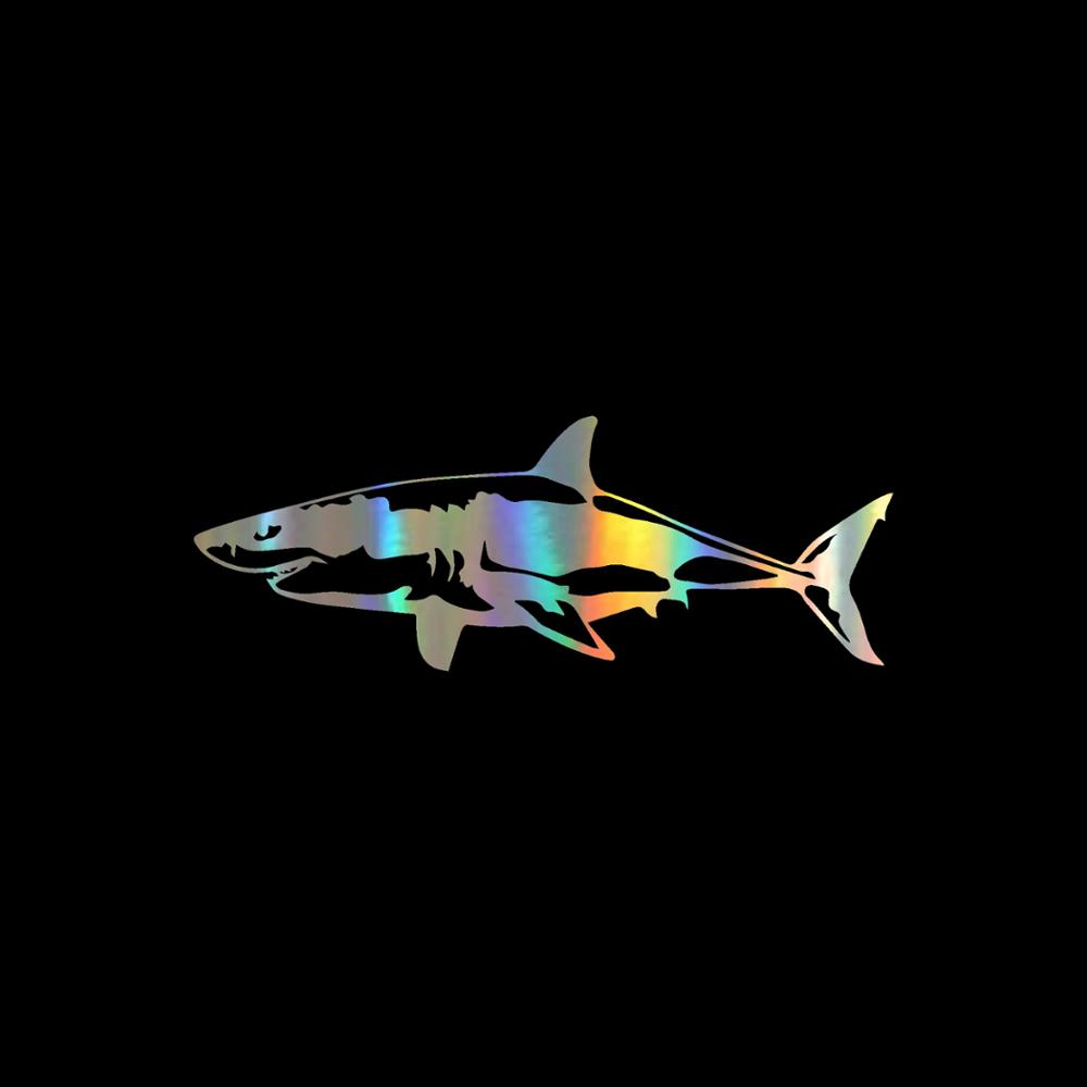 ملصق Jpct مثير للاهتمام على شك - مراجعة Aquarium Fish Shark وسعره