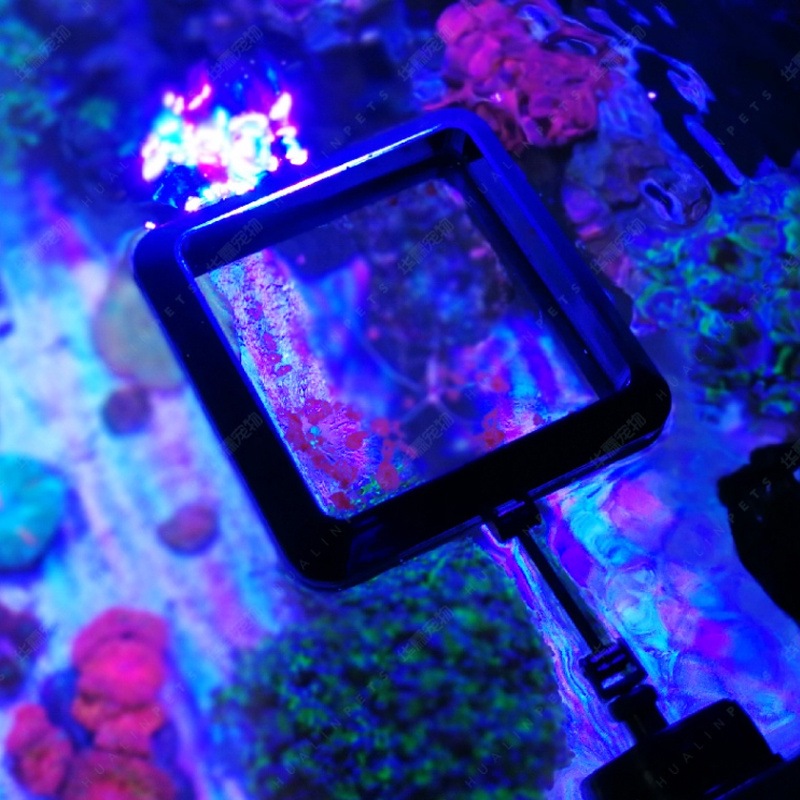 VASTOCEAN حلقة تغذية مغناطيسية - مراجعة Aquarium Fish Food وسعره