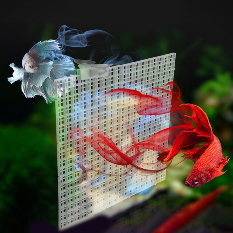 لوح تقسيم شبكي لعزل حوض الأسما - مراجعة Aquarium Fish Trap وسعره