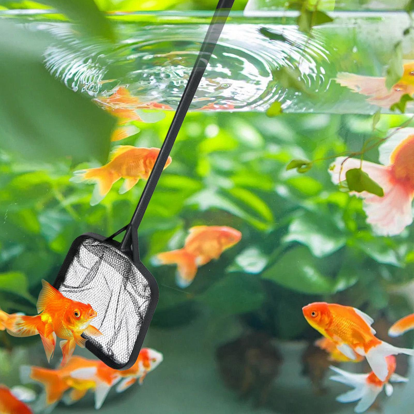 شبكات تنظيف حمامات السباحة، شب - مراجعة Aquarium Fish Tank Cleaner وسعره