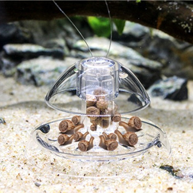 1 قطعة خزان الأسماك حوض السمك  - مراجعة Aquarium Fish Trap وسعره