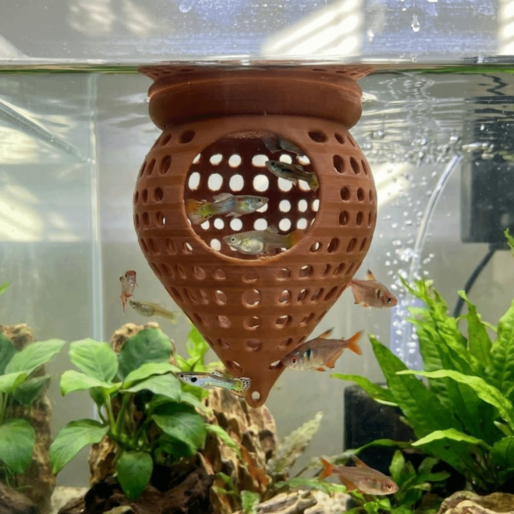 أرجوحة عائمة ثلاثية الأبعاد لل - مراجعة Aquarium Fish Food وسعره