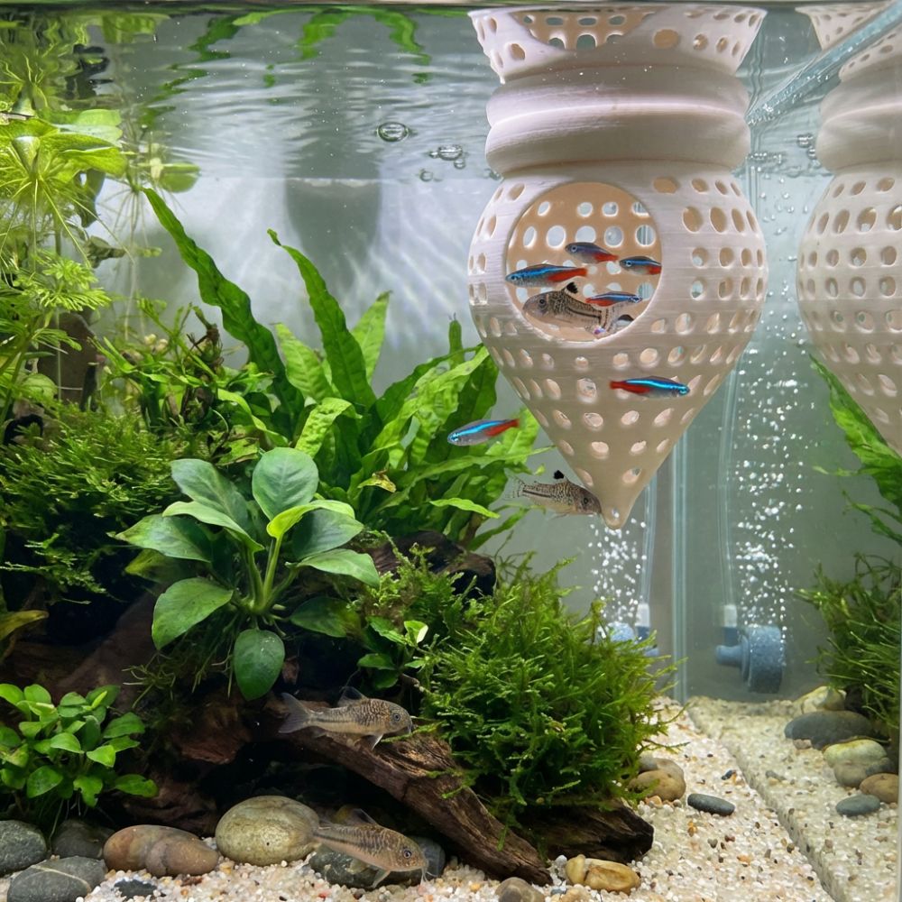 أرجوحة عائمة ثلاثية الأبعاد لل - مراجعة Aquarium Fish Food وسعره