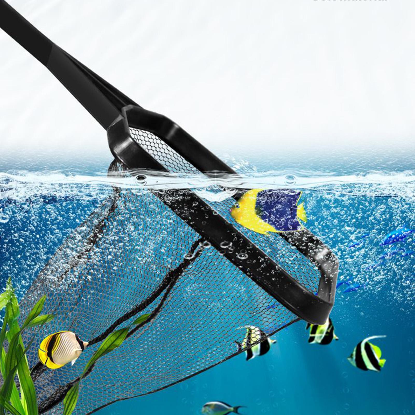 شبكة حمام السباحة، شبكة إنقاذ  - مراجعة Aquarium Fish Trap وسعره