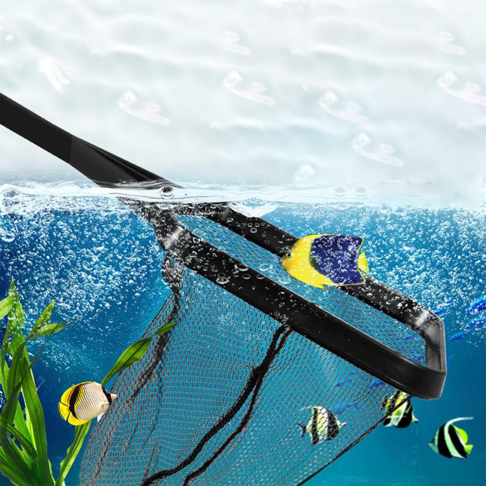 شبكة حمام السباحة، شبكة إنقاذ  - مراجعة Aquarium Fish Trap وسعره