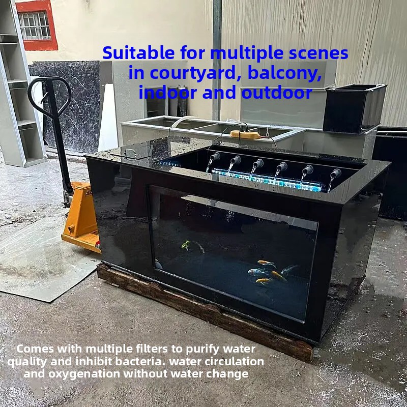 حوض سمك أسود كبير الحجم مع فلت - مراجعة Xl Aquarium Fish وسعره