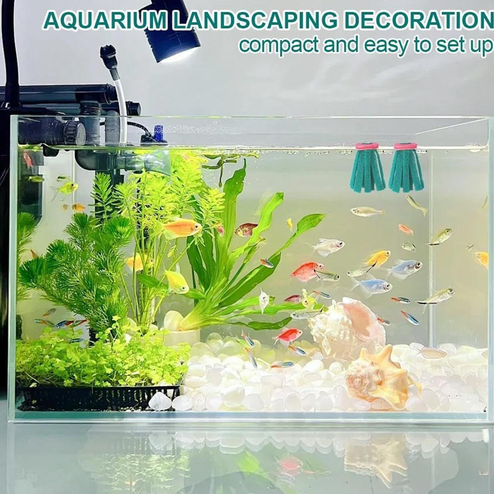 10 قطع من ممسحة تفريخ الأسماك  - مراجعة Aquarium Fish Food وسعره