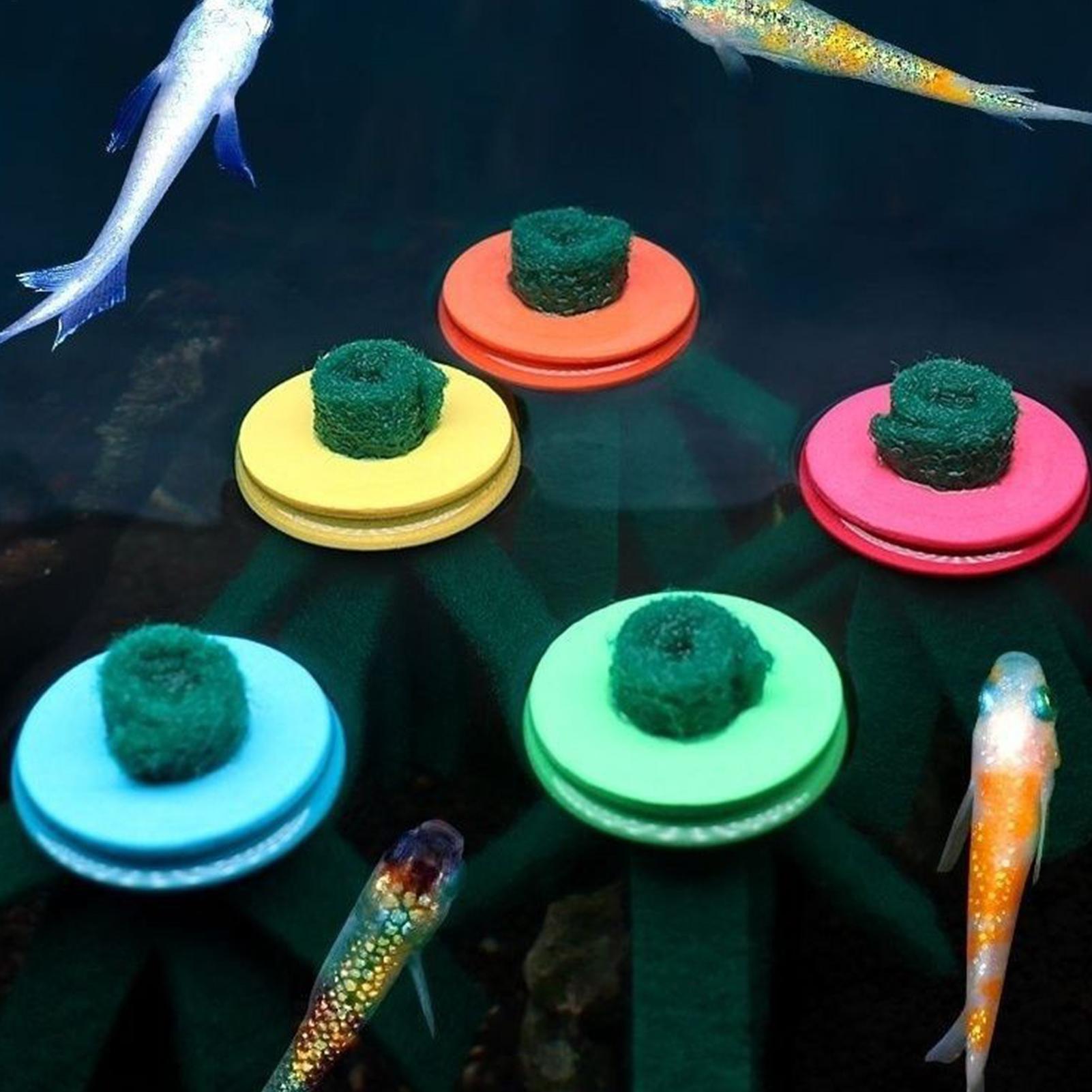 10 قطع من ممسحة تفريخ الأسماك  - مراجعة Aquarium Fish Food وسعره