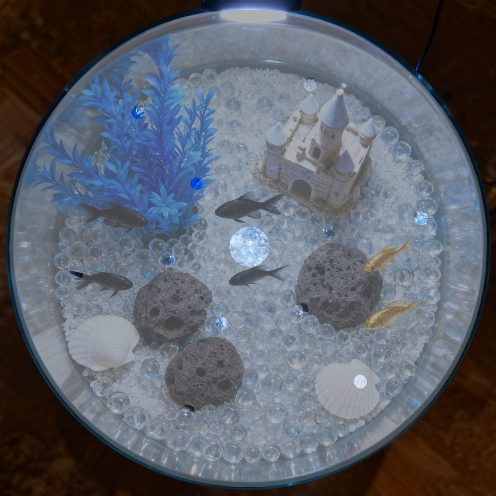 غطاء دائري من الأكريليك لحوض ا - مراجعة Aquarium Fish Escape وسعره