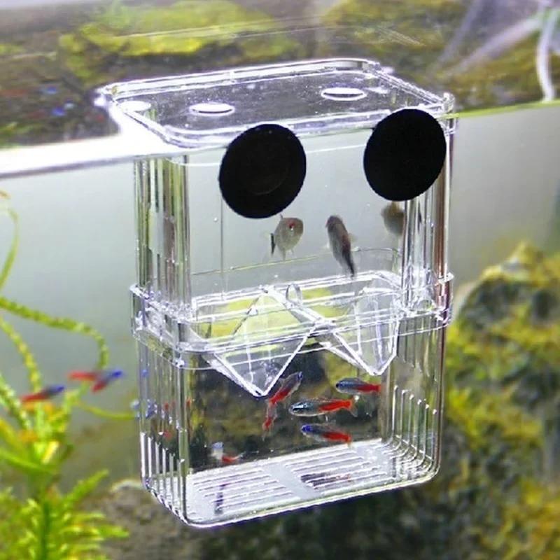 حوض السمك الشفاف، صندوق عزل تر - مراجعة Aquarium Fish Cave وسعره
