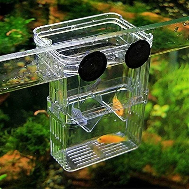 حوض السمك الشفاف، صندوق عزل تر - مراجعة Aquarium Fish Cave وسعره