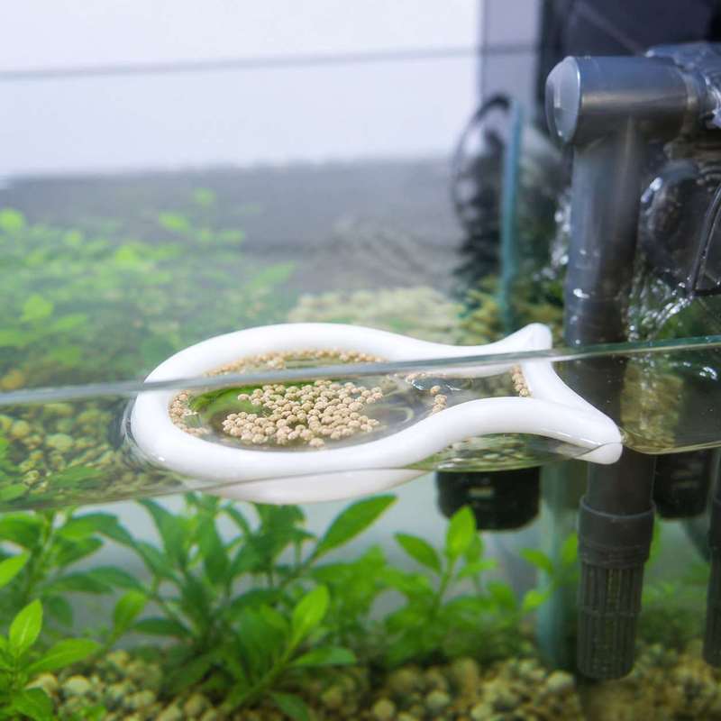 حلقة تغذية عائمة على شكل سمكة  - مراجعة Aquarium Fish Food وسعره