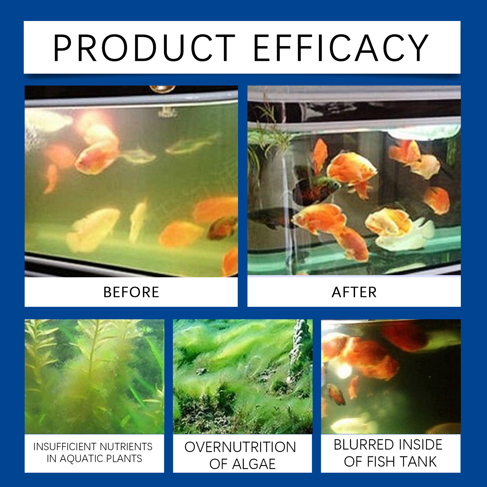 حوض السمك المياه توضيح 100 ملل - مراجعة Aquarium Fish Tank Cleaner وسعره