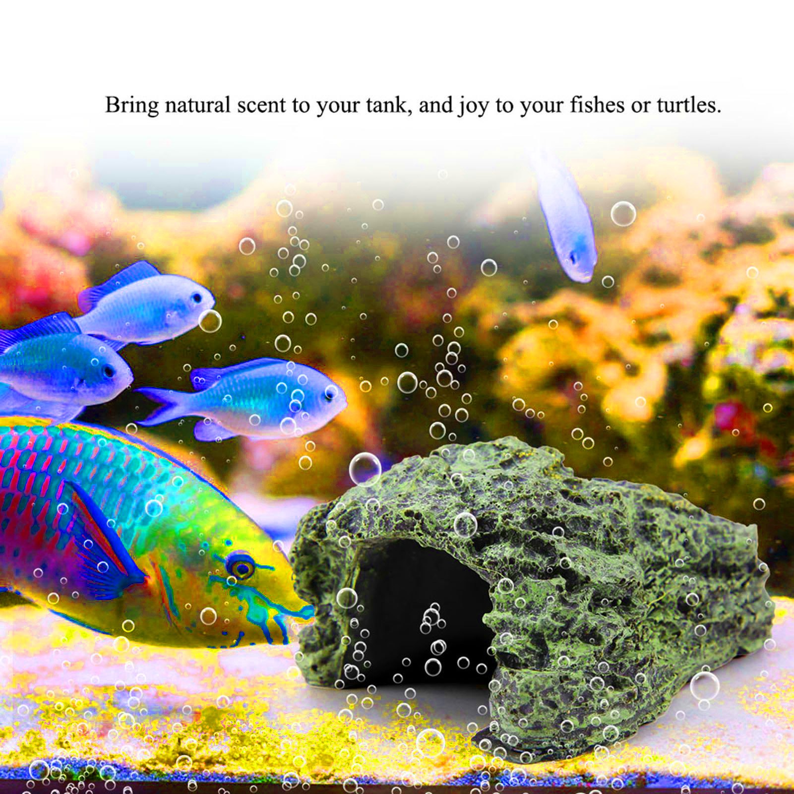 كهف إخفاء للزواحف، مأوى للسلاح - مراجعة Aquarium Fish Cave وسعره