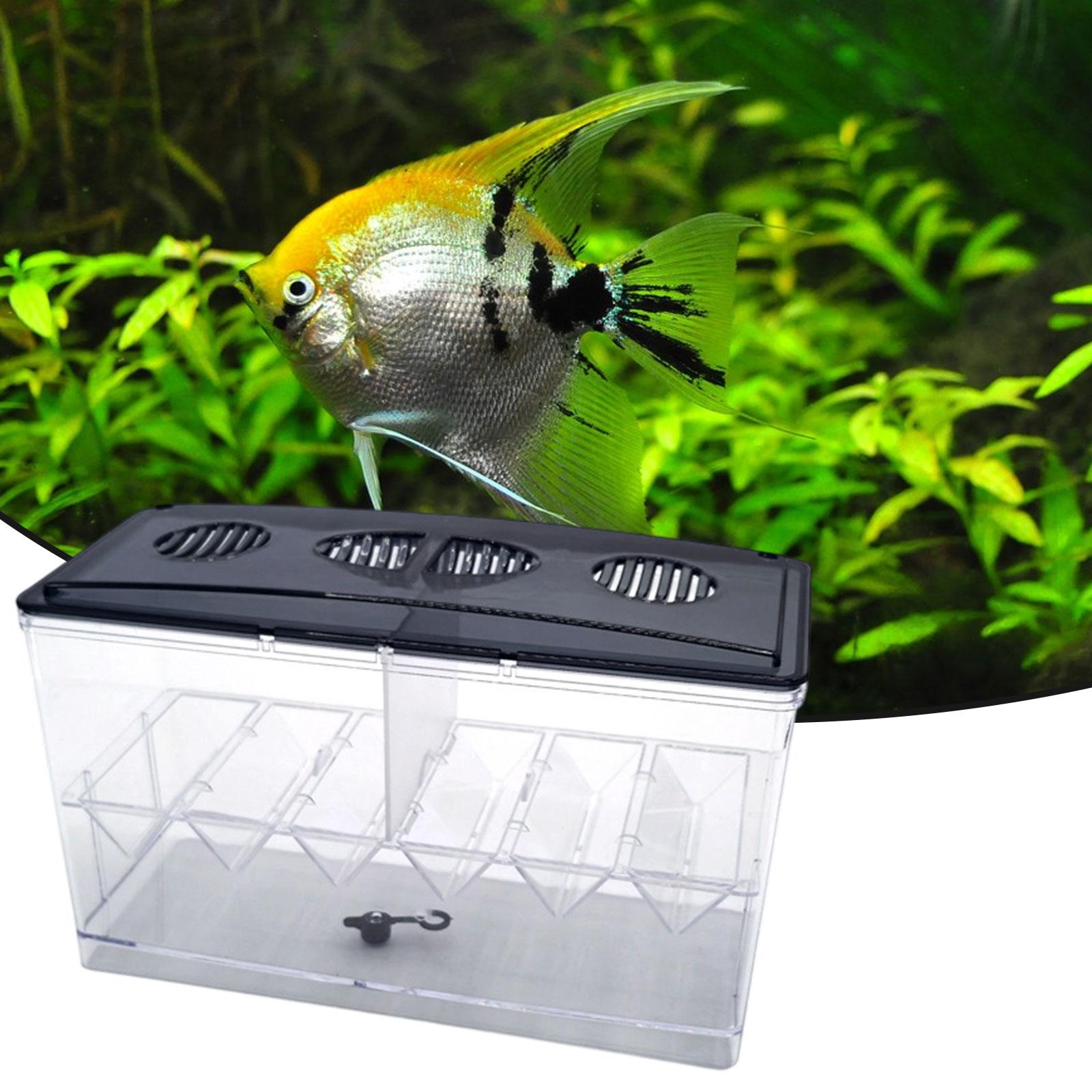 صندوق عزل تربية الأسماك العائم - مراجعة Aquarium Fish Tank Cleaner وسعره