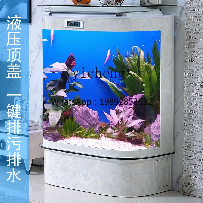 حوض سمك كبير الحجم من الزجاج ا - مراجعة Xl Aquarium Fish وسعره