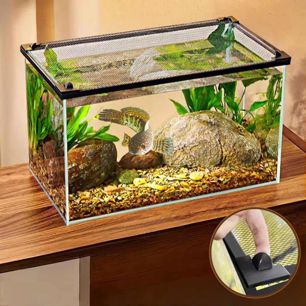 غطاء حوض أسماك مغناطيسي متين س - مراجعة Aquarium Fish Jumping وسعره