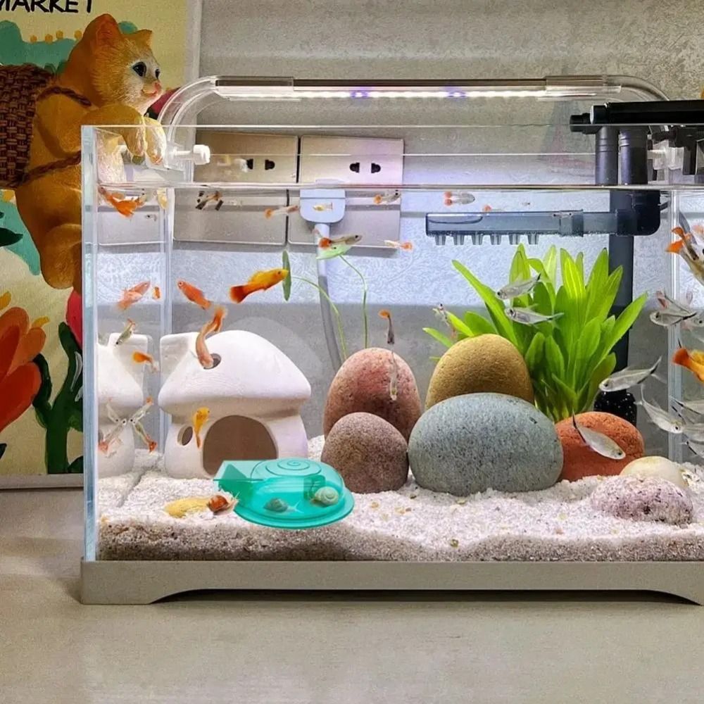 مصيدة حلزونات لأحواض المياه ال - مراجعة Aquarium Fish Trap وسعره