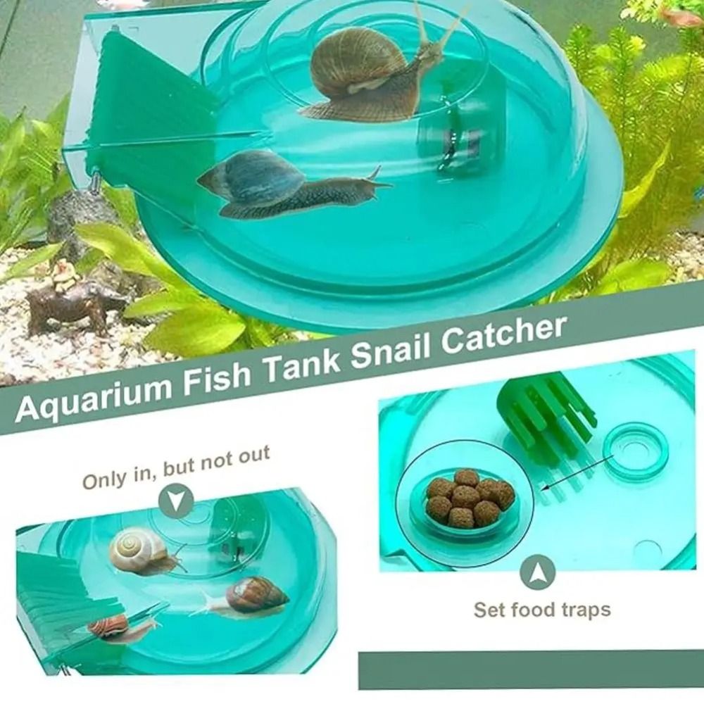 مصيدة حلزونات لأحواض المياه ال - مراجعة Aquarium Fish Trap وسعره