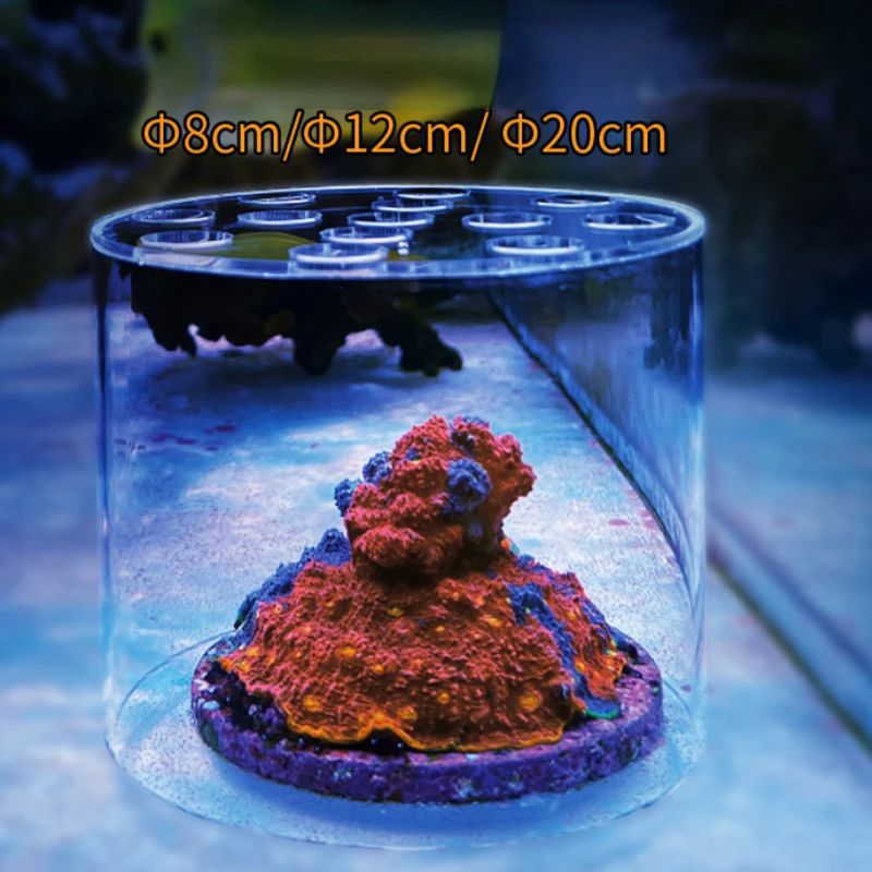 Vastocean حوض السمك الاكريليك  - مراجعة Aquarium Fish Food وسعره