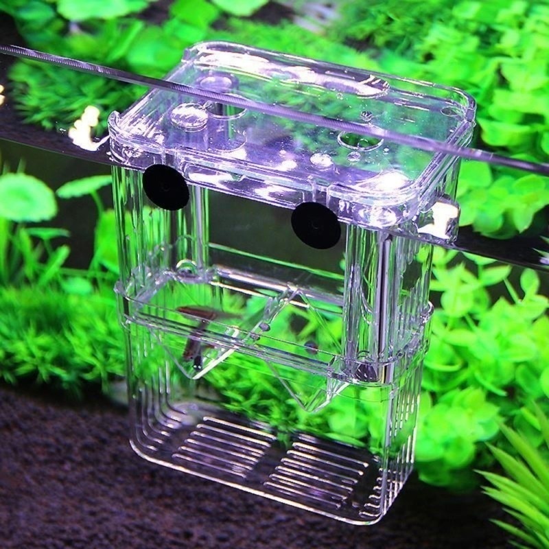 صندوق عزل حوض السمك متعدد الوظ - مراجعة Aquarium Fish Cave وسعره