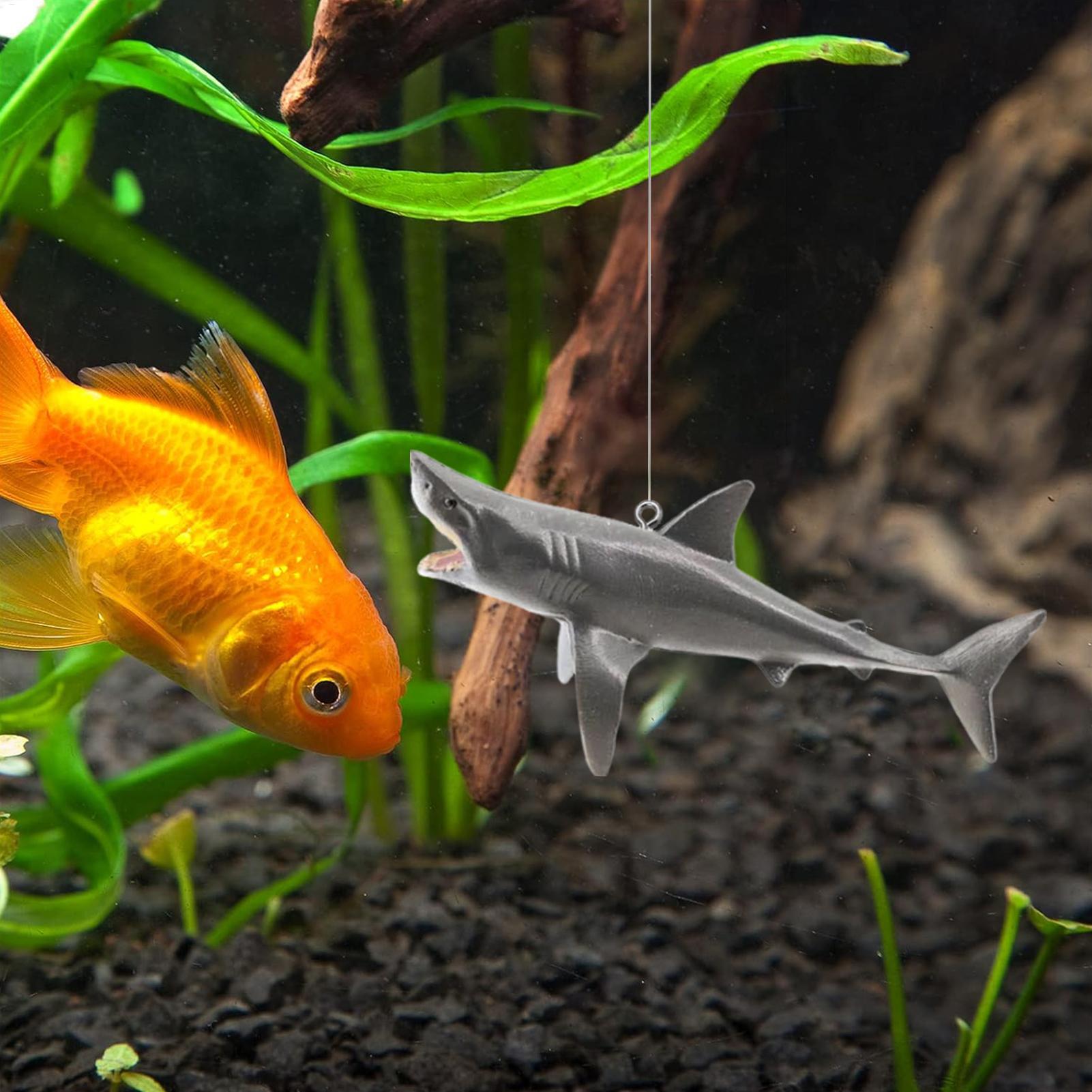 ديكور المناظر الطبيعية لحوض سم - مراجعة Aquarium Fish Shark وسعره