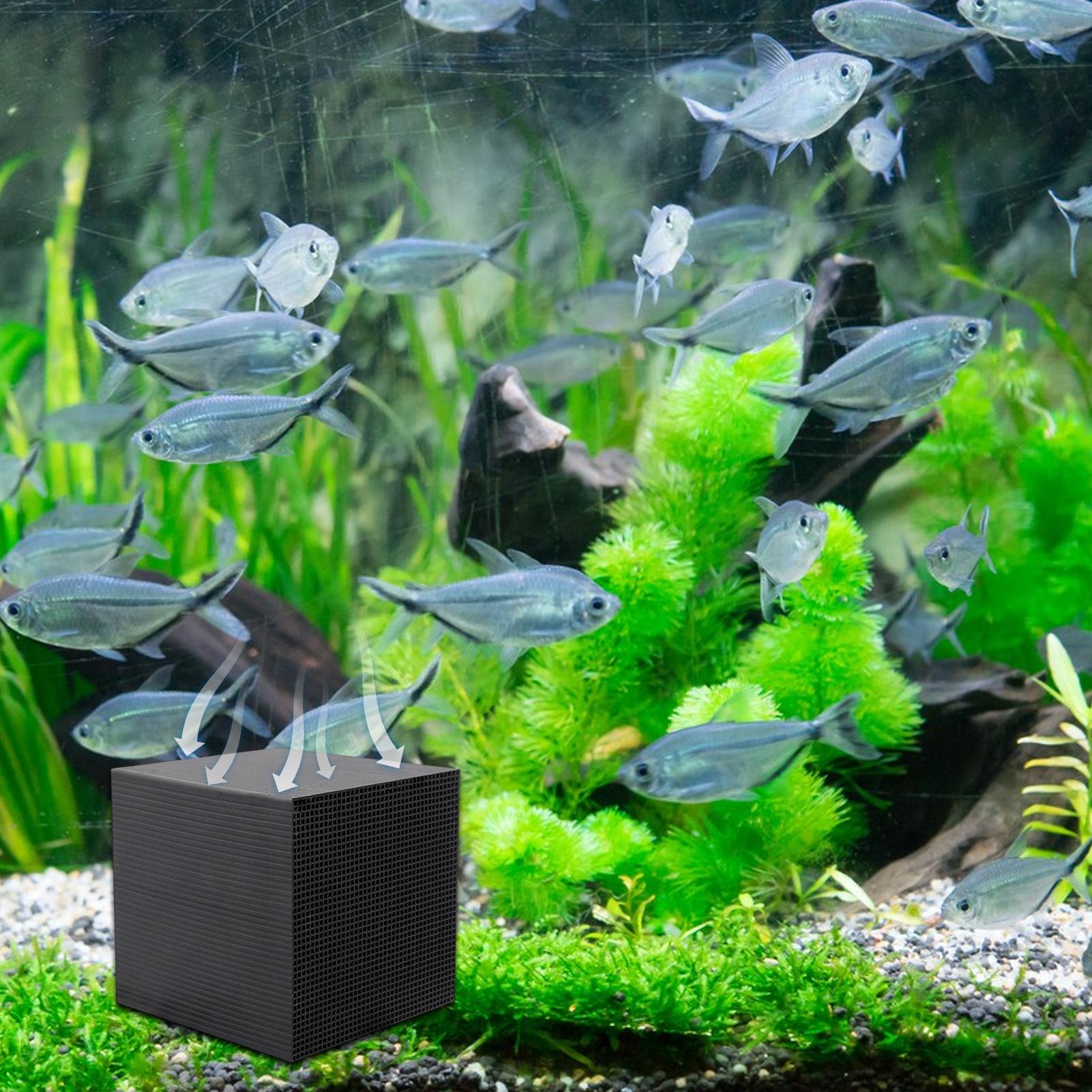 حوض السمك منقي مياه مكعب حوض ا - مراجعة Aquarium Fish Cave وسعره