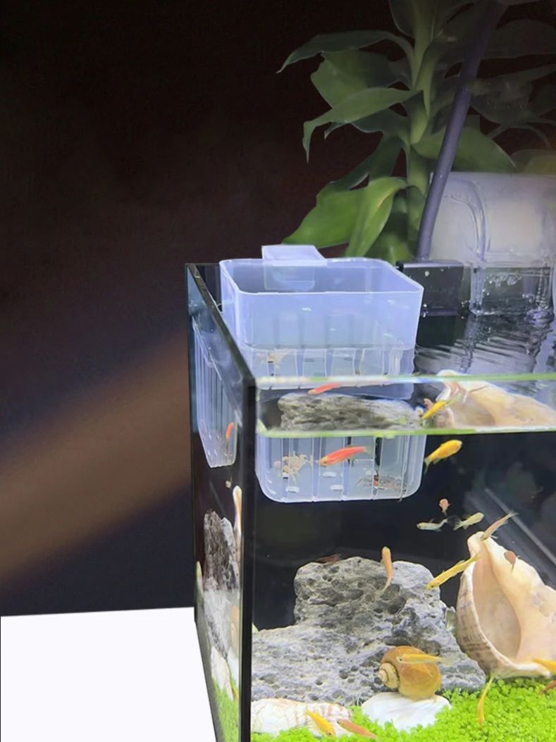 حامل نباتات طوارئ مثبت على الح - مراجعة Aquarium Fish Big وسعره