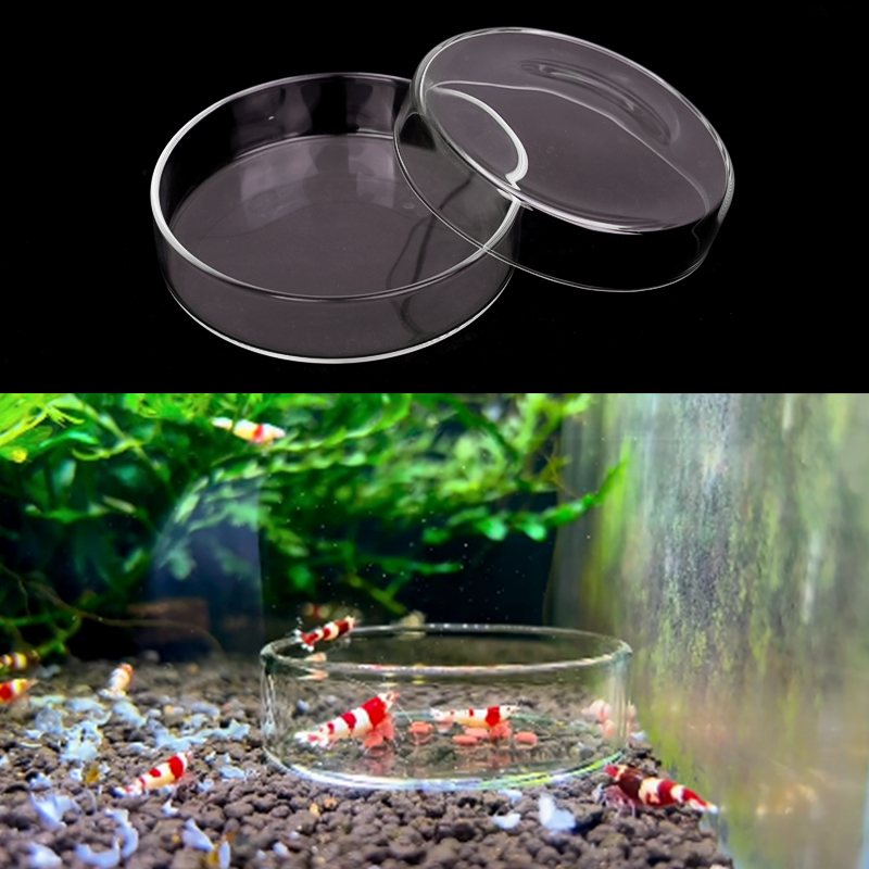 طبق تغذية الروبيان طبق تغذية ز - مراجعة Aquarium Fish Food وسعره