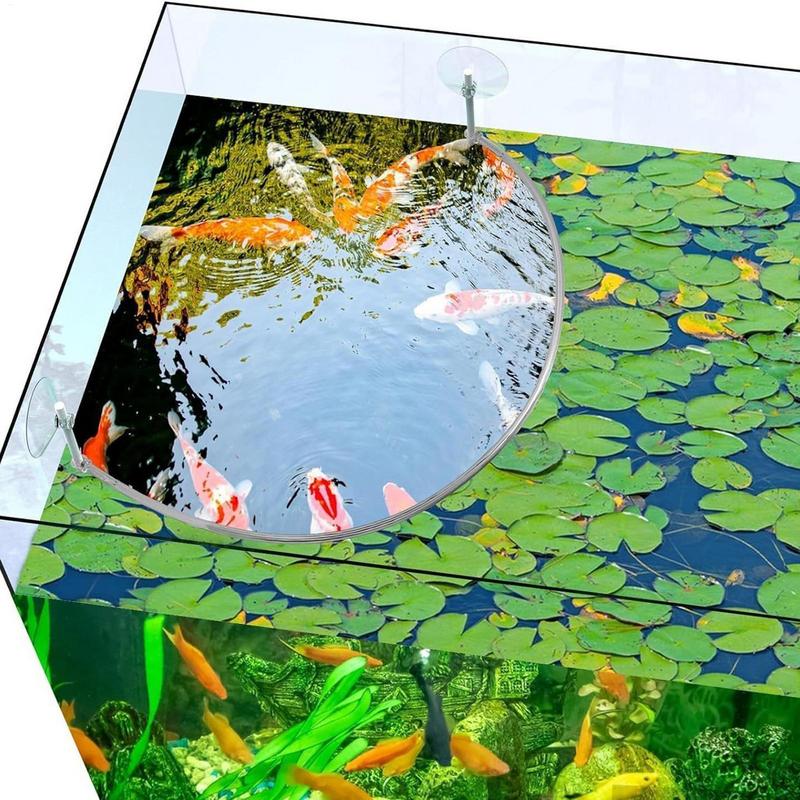 حلقة تغذية الأسماك المرجانية ل - مراجعة Aquarium Fish Food وسعره