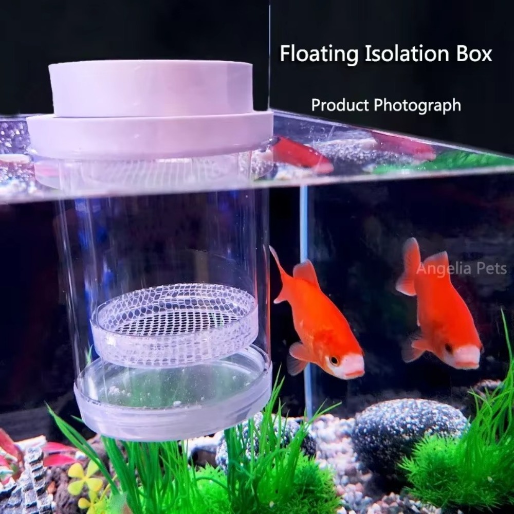 البلاستيك العائمة تربية الأسما - مراجعة Aquarium Fish Cave وسعره