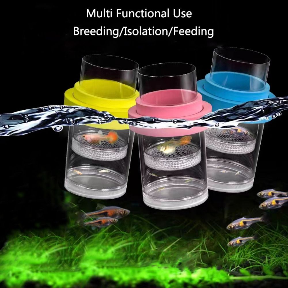 البلاستيك العائمة تربية الأسما - مراجعة Aquarium Fish Cave وسعره