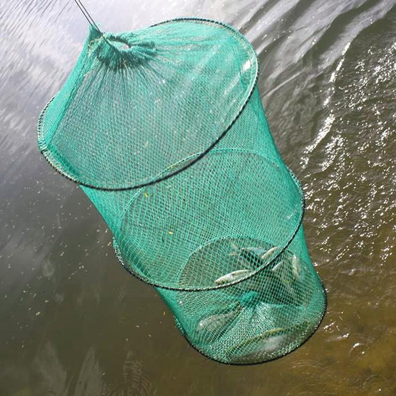 للطي جولة النايلون شبكة الإطار - مراجعة Aquarium Fish Trap وسعره
