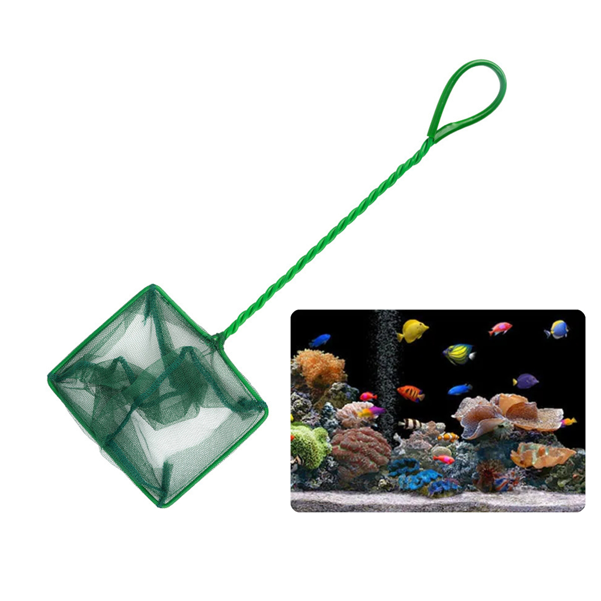 شبكة صيد السمك المحمولة المصنو - مراجعة Aquarium Fishland وسعره