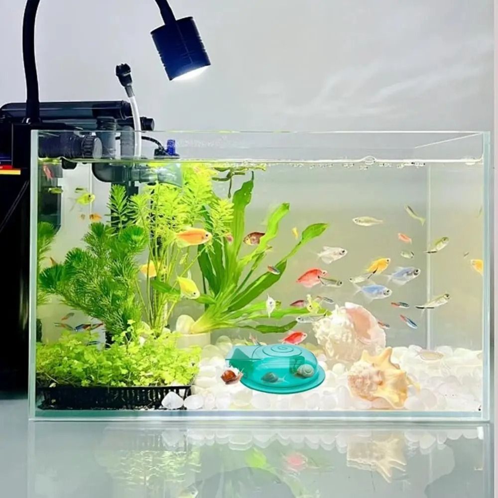 مصيدة حلزونات متعددة الأغراض ل - مراجعة Aquarium Fish Trap وسعره