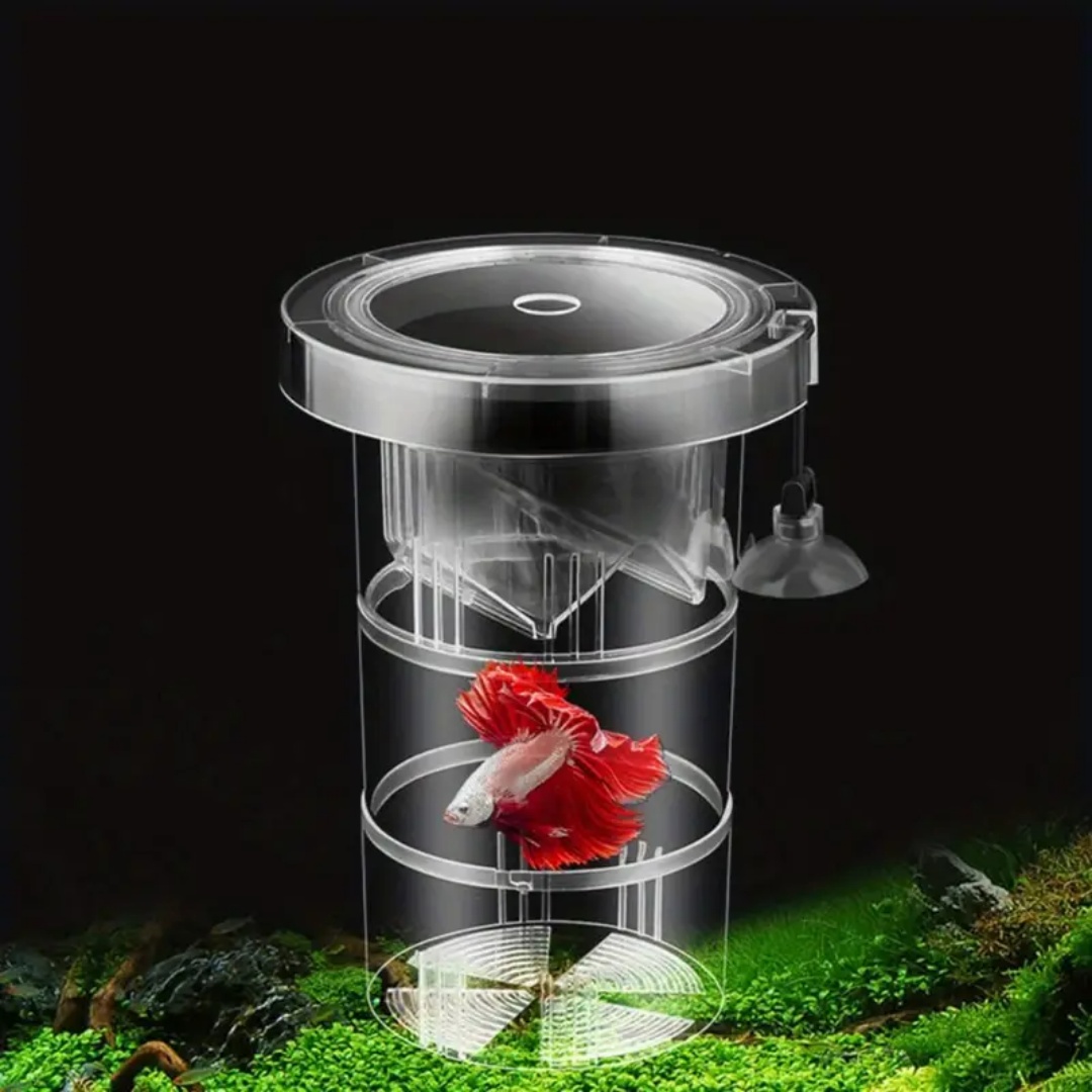 الاكريليك العائمة تربية الأسما - مراجعة Aquarium Fish Cave وسعره