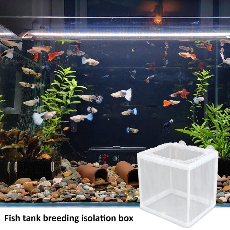 صندوق تربية الأسماك مع شفط، تف - مراجعة Aquarium Fish Trap وسعره