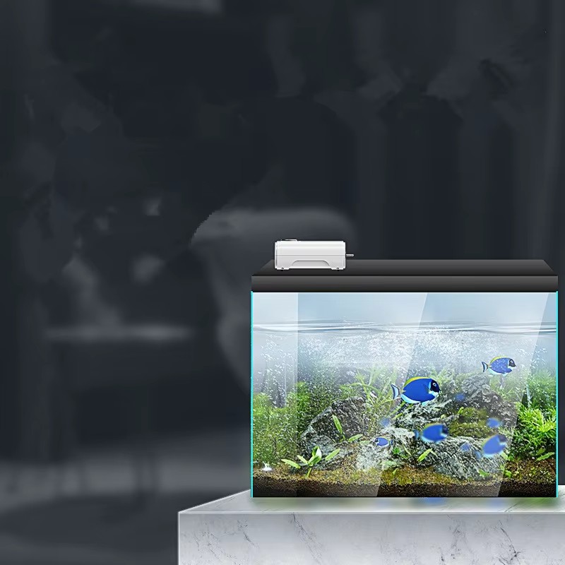 220 فولت/110 فولت 3 واط/8 واط/ - مراجعة Xl Aquarium Fish وسعره
